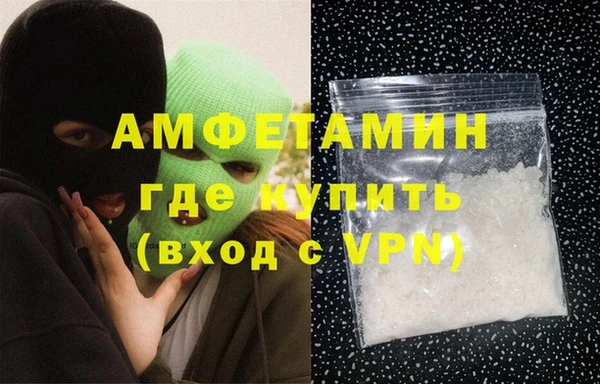 ешки Горняк